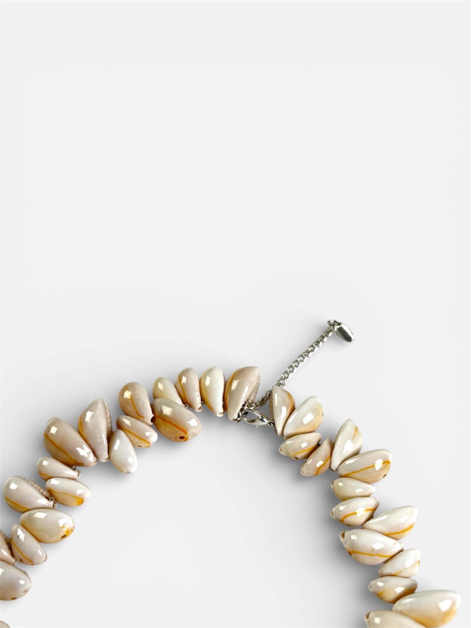 BEACHED seashell necklace_